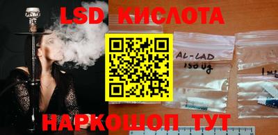 сатива Краснодар