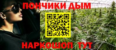 сатива Краснодар