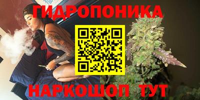 сатива Краснодар
