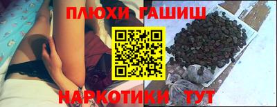 прущие грибы Краснокаменск