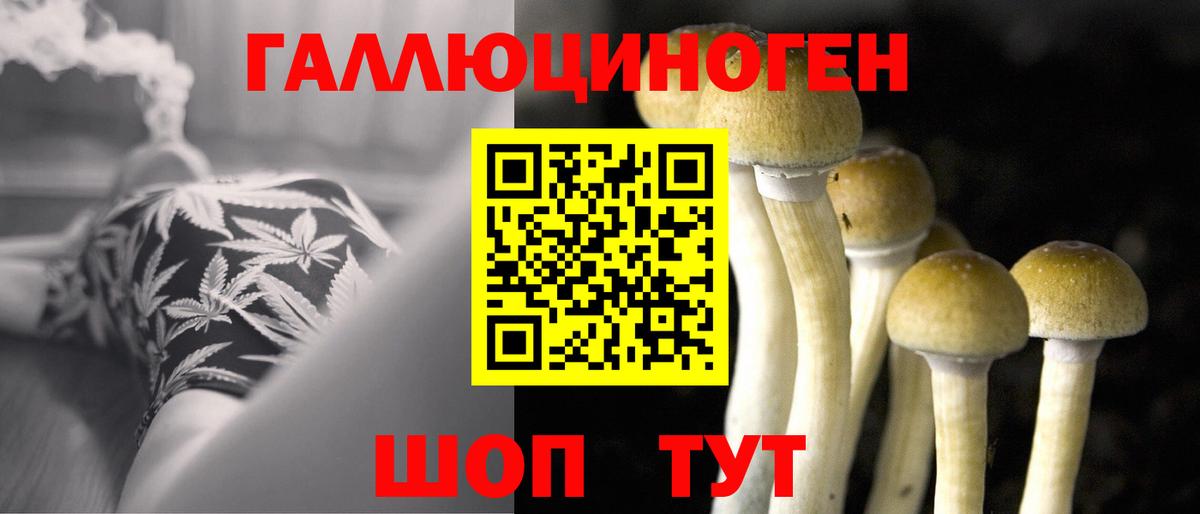 Кемерово  Галлюциногенные грибы Magic Shrooms  Вход с VPN 